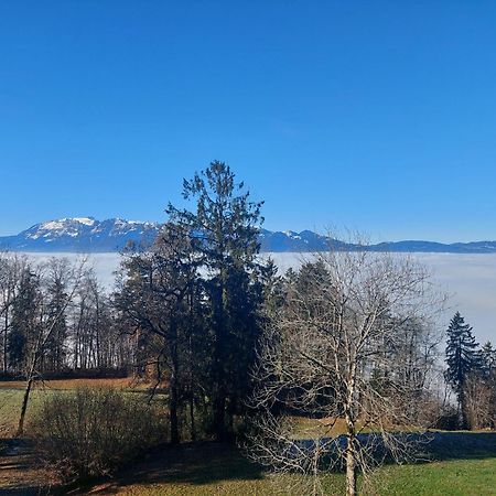 Gemuetliche Wohnung Mit Talblick Batschuns Экстерьер фото