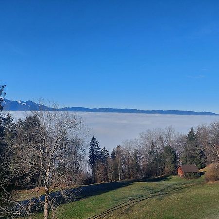 Gemuetliche Wohnung Mit Talblick Batschuns Экстерьер фото