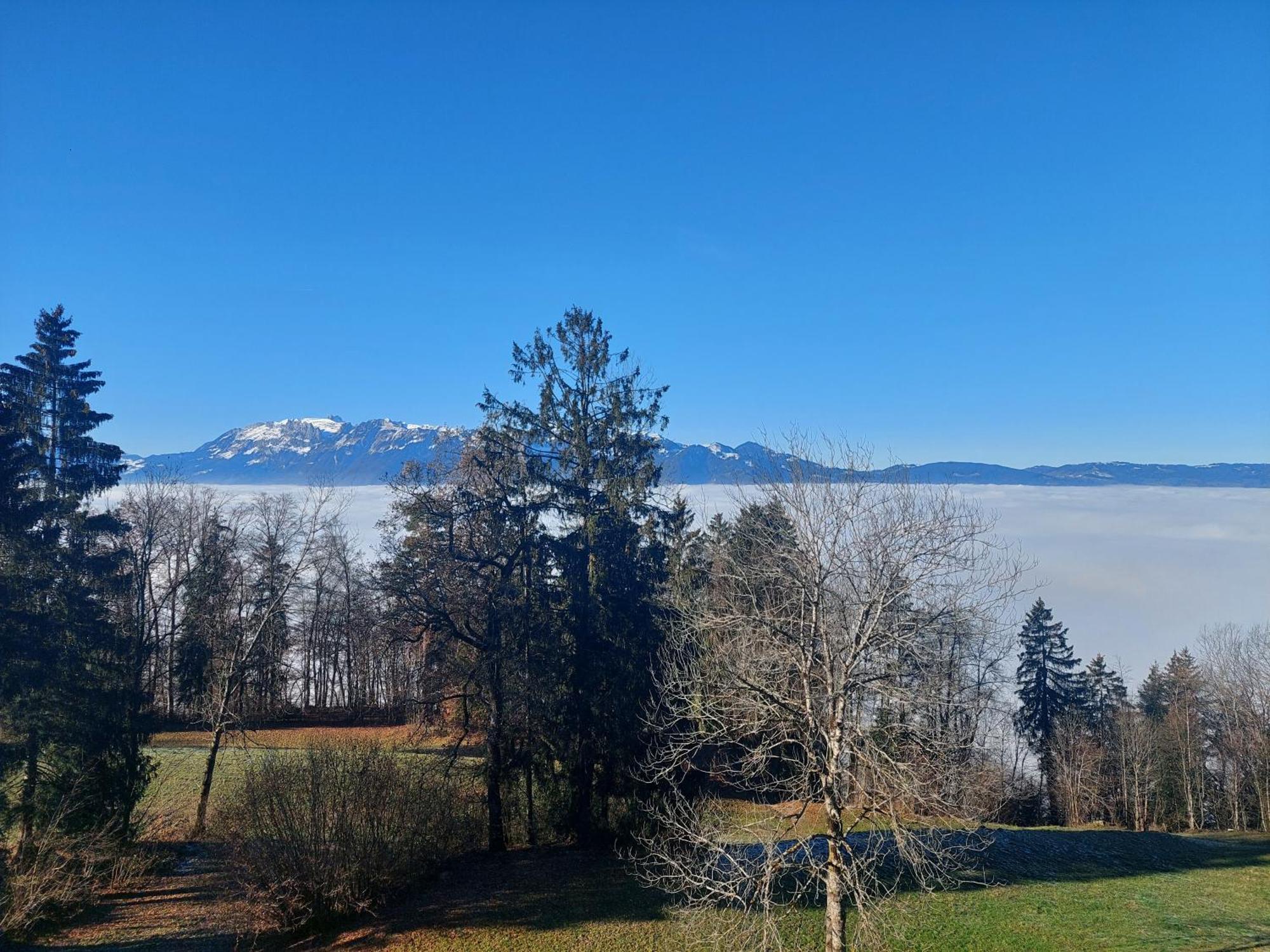 Gemuetliche Wohnung Mit Talblick Batschuns Экстерьер фото