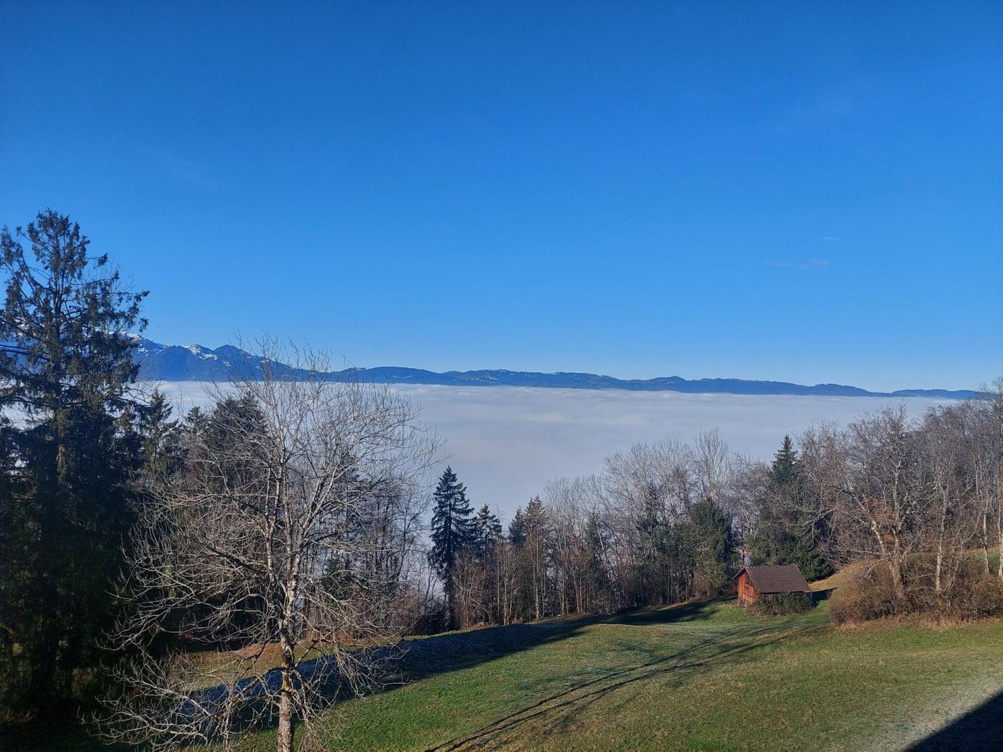 Gemuetliche Wohnung Mit Talblick Batschuns Экстерьер фото