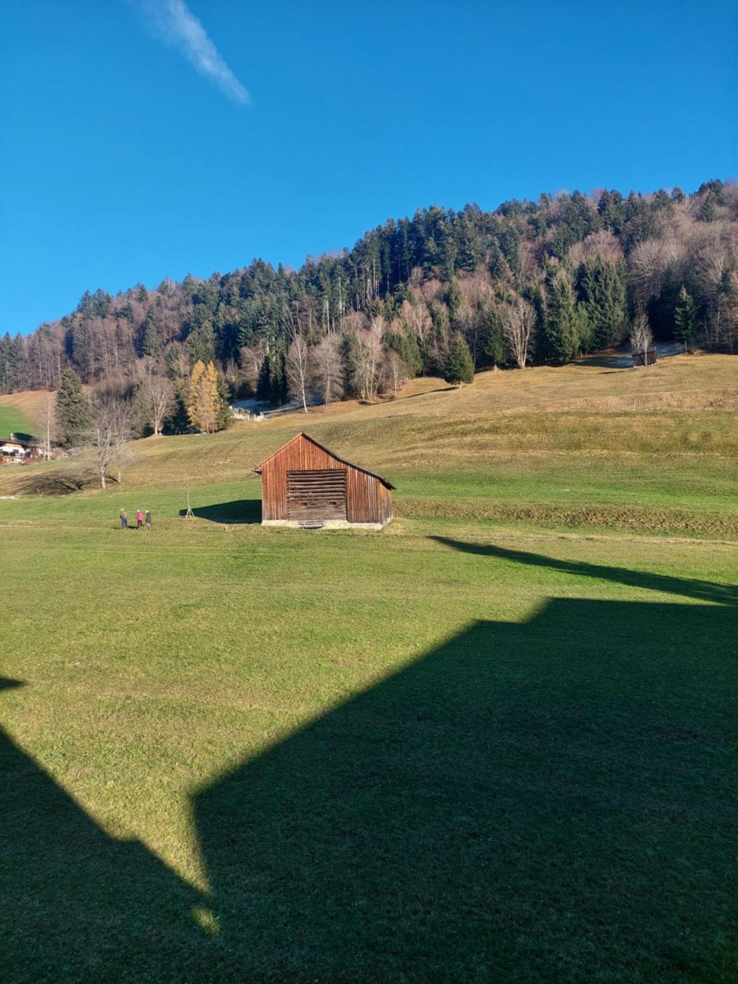 Gemuetliche Wohnung Mit Talblick Batschuns Экстерьер фото