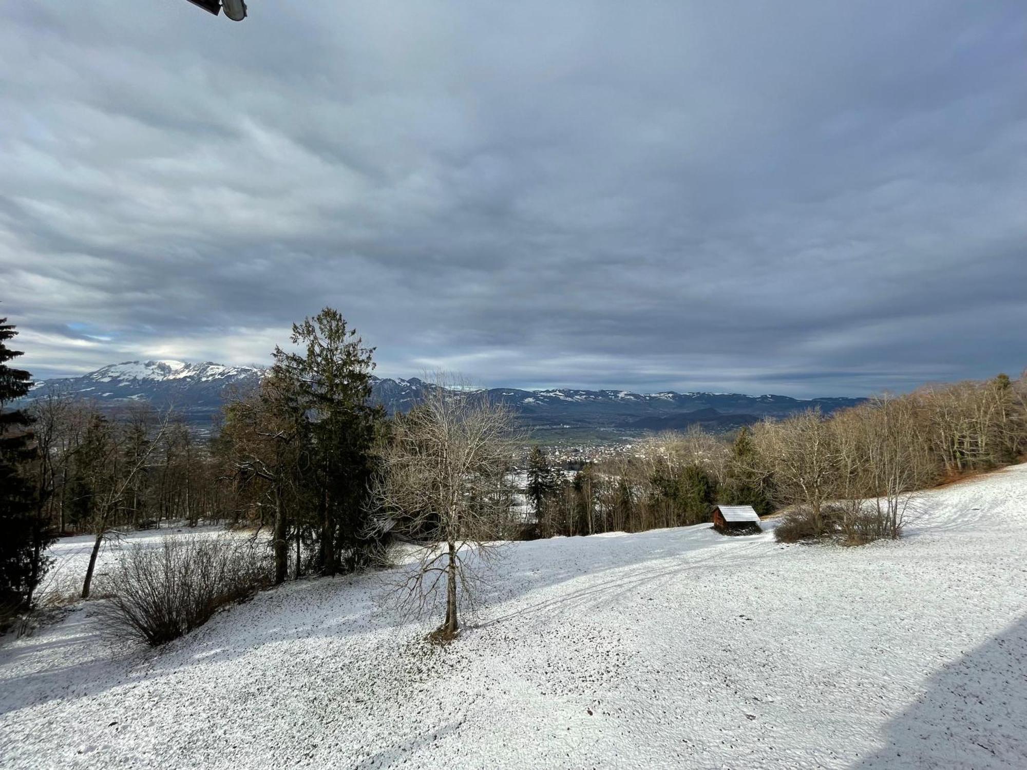 Gemuetliche Wohnung Mit Talblick Batschuns Экстерьер фото