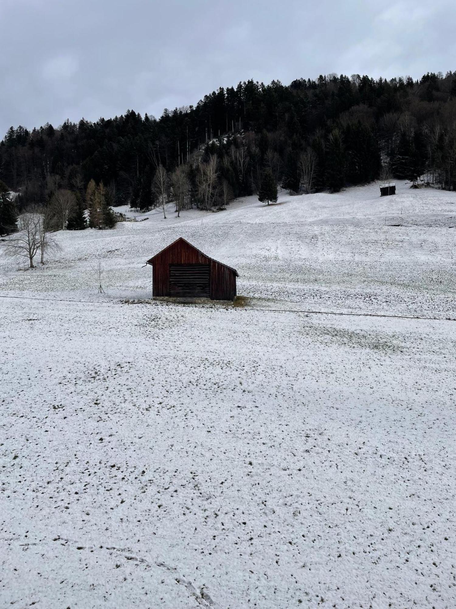 Gemuetliche Wohnung Mit Talblick Batschuns Экстерьер фото