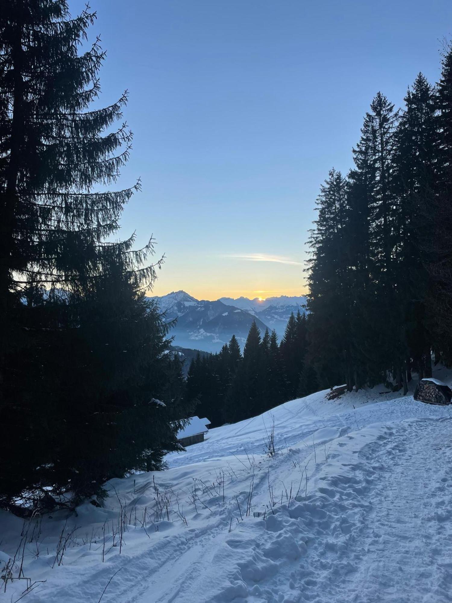 Gemuetliche Wohnung Mit Talblick Batschuns Экстерьер фото